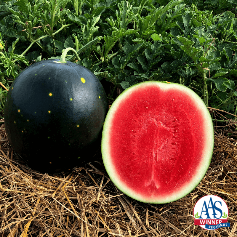 Watermelon-Century-Star-F1_logo.png